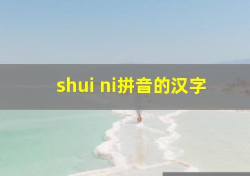 shui ni拼音的汉字